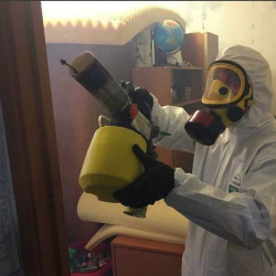 Уничтожение клопов в квартире. Новый Оскол